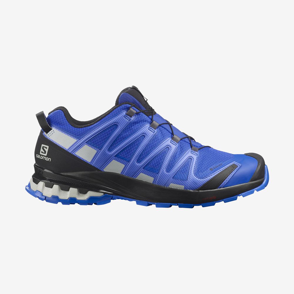 Salomon XA PRO 3D V8 GORE-TEX Zapatillas Trail Running Hombre - Azules - Colombia (62740-VMGE)